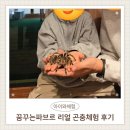 꿈꾸는수족관 | 김포 아기랑 아이체험 추천, 꿈꾸는파브르 리얼 곤충체험 후기 (19개월 무료입장),상아쿠아 코스