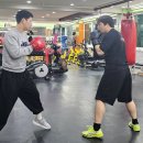 강화 용인대 복싱클럽 이미지