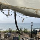 애견 11번가 | 가능한 변산반도 4만원 가성비 캠핑장/고사포 캠핑장,해수욕장: 고사포 캠핑 11번가 후기 (현재 운영x)