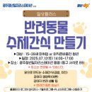 반려동물수제간식만들기 이미지