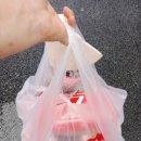 원주피자맛집추천 신메뉴 크림치즈볼피자와 오븐스파게티 맛난 7번가피자 남원주점