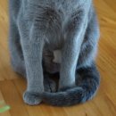 트레벨동물병원 이미지