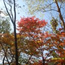 동대산 주차장 이미지