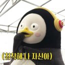 부흥초등학교 이미지