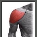 캐롬학당 이미지