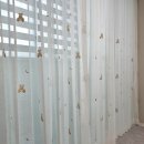 금산느티나무 이미지