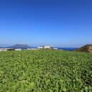 글라스하우스 이미지