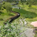 한밭수목원 이미지