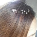 헤어쿠데타
