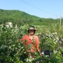 경인목장 이미지