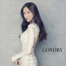비쥬바이진스&공드리