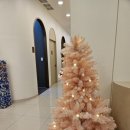 미샤인의원 이미지