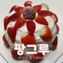 팡그루 이미지