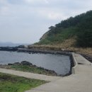 크로커다일제주 이미지
