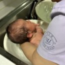 호 산부인과 의원 이미지