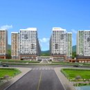 숲속의 아침 이미지