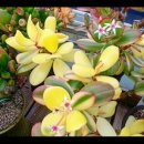 해림농장 이미지