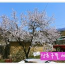 정경농장 이미지