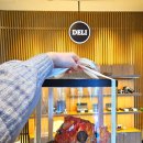 3408 | 안토 델리 케이크, 예약, 가격(셰프의 실수 못난이케이크 솔직 후기까지)