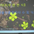 사)약용식물협회 경북지회 구미지부 현판식 이모저모 이미지