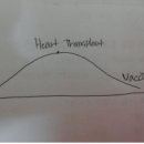 2013 “Health productivity function” 개별 보고서 이미지