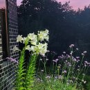 금모래마당 펜션 이미지