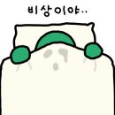 퀸즈블러바드&미국식 이미지