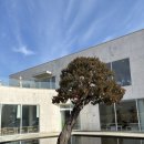 형제철물 | 담양 카페밀 채광 좋은 햇살맛집, 힐링 대형 카페