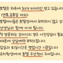 가치있개 반려견 유치원 이미지