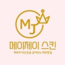 메이제이스킨