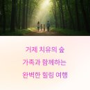 동물치유쉼터 | 거제 치유의 숲 가족 나들이 완전정복