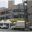 댕댕유치원 네이버블로그