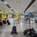 왕벚꽃식당 | 260328 제주 여행 1일차: 우진해장국, 전농로 왕벚꽃 축제