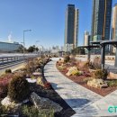 중앙공원 시민광장 이미지