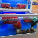 백산수산 이미지