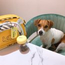 멈무유치원 이미지