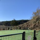 경포몽애견펜션 이미지