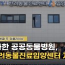 서울동물심장병원
