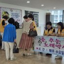 노래교실(목) Daum카페