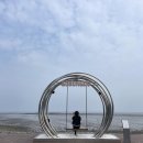 대부해솔길 4코스 | 대부도가볼만한곳 I 대부도해솔길 1코스에서 구봉도 낙조전망대 산책 I 대부도애견동반