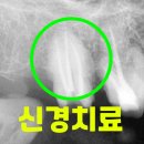다솜치과기공소 이미지