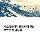 샤스타데이지 물결 따라 걷는 부안 변산 마실길 2코스 여행기