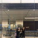 자연in | 자연필라테스 메리듀 심포지엄 싱가포르 참석 후기 Merrithew Symposium in Singapore 2026