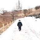 유일사슴목장 이미지