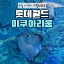 악어구름 | 서울 롯데월드 아쿠아리움 후기｜입장료 할인·주차·먹이시간 총정리