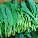 산골농장 이미지