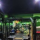 발리휘트니스 이미지