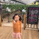 소이농장 이미지