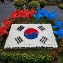국화살롱