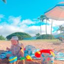 지민이네 농장 | Prologue. 삼박 같은 7박 느무 빨리 지나가쟈나 in 하와이 2018.9